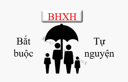 Đối tượng tham gia BHXH bắt buộc, tự nguyện